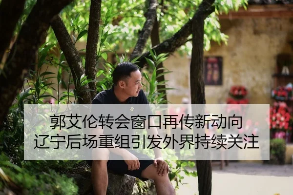 郭艾伦转会窗口再传新动向 辽宁后场重组引发外界持续关注